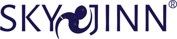 SKYJINN logo